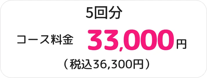 5回分33,000円